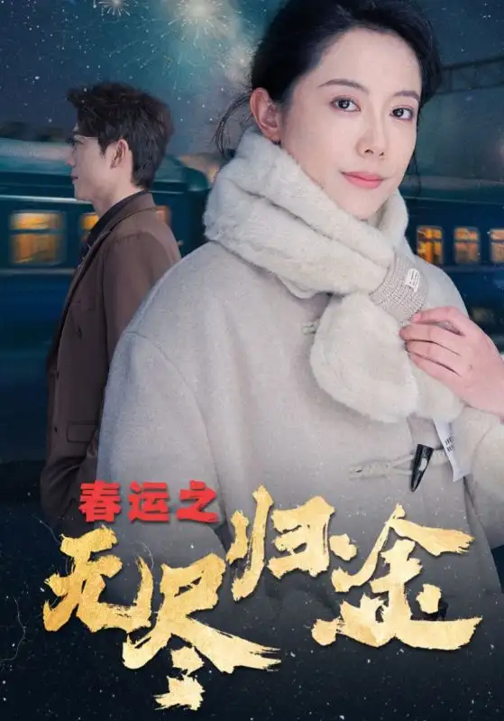 春運(yùn)之無盡歸途（49集）