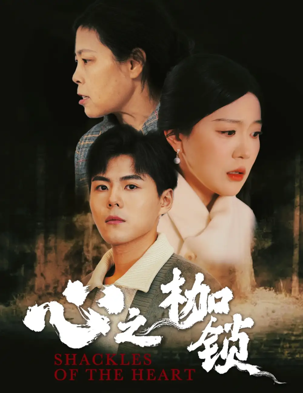 心之枷鎖（31集）