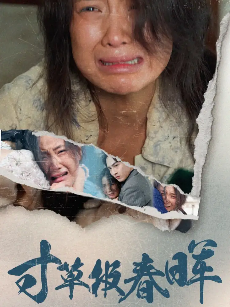 寸草報春暉（65集）劇情人物介紹