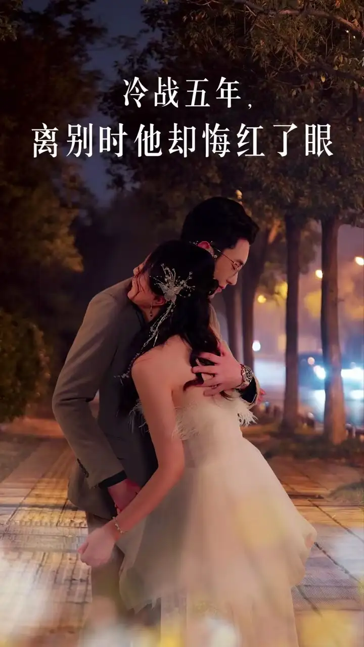 冷戰(zhàn)五年離別時(shí)他卻悔紅了眼（60集）劇情人物介紹