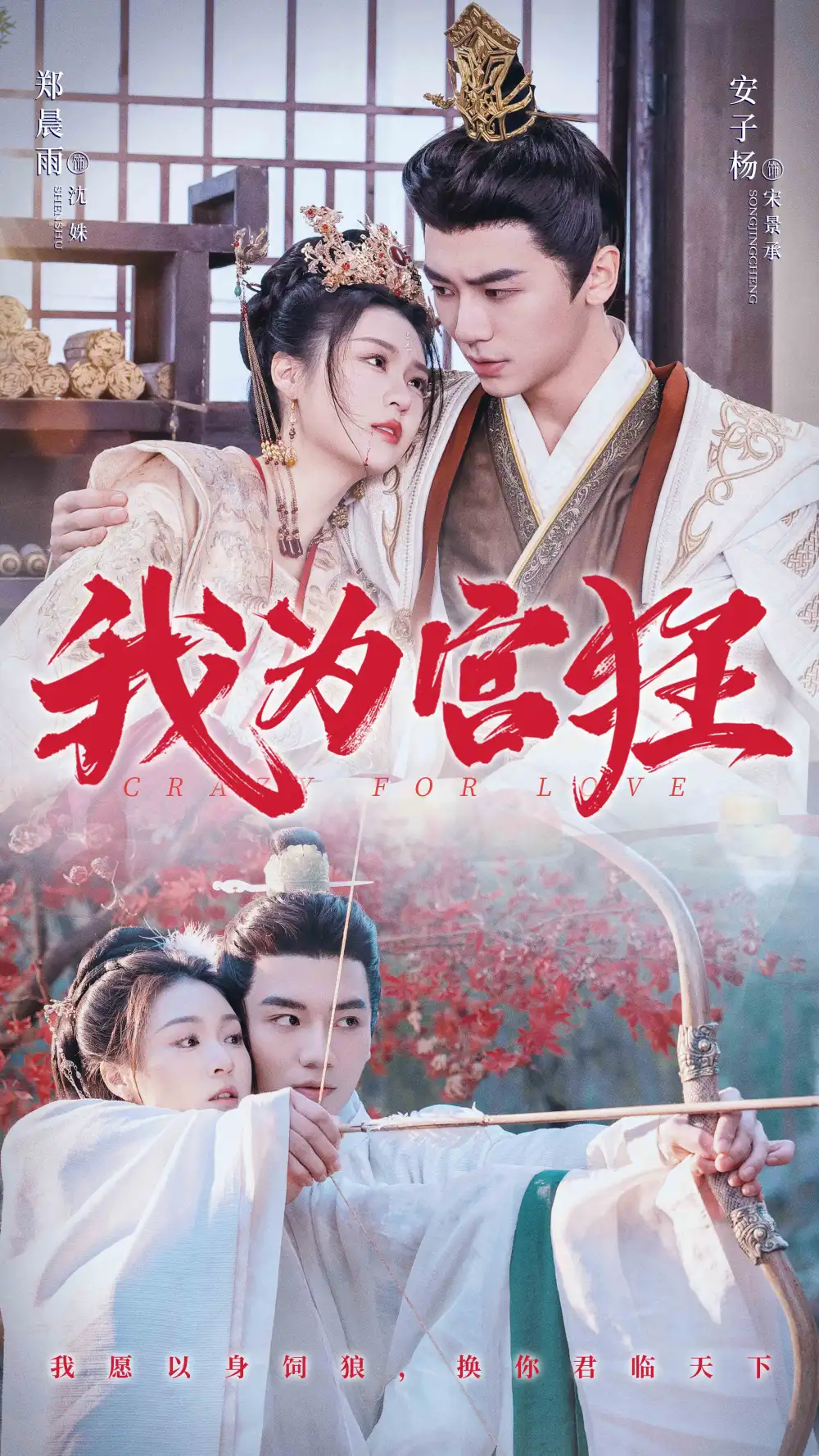 我為宮狂（59集）安子楊＆鄭晨雨劇情人物介紹