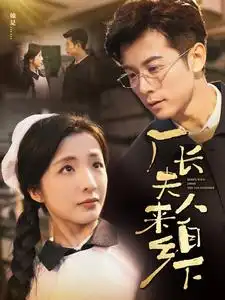 廠長夫人來自鄉(xiāng)下（60集）劇情人物介紹
