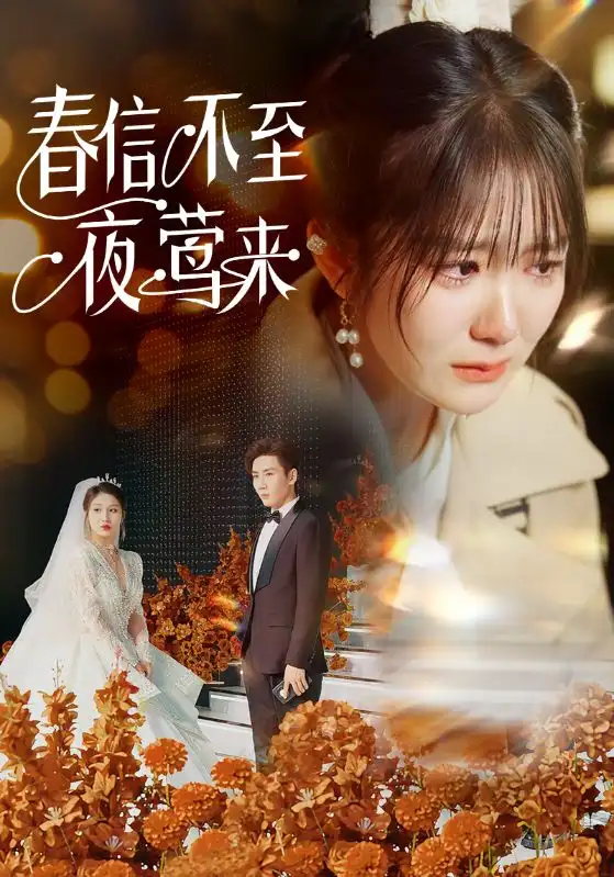 春信不至夜鶯來（50集）馮易鑫劇情人物介紹