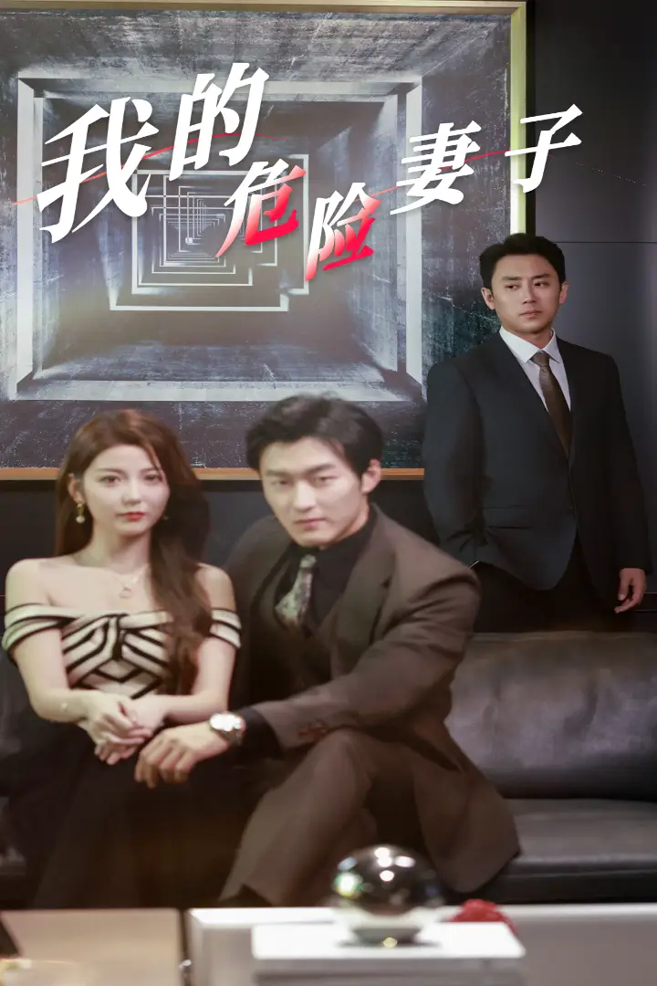 我的危險妻子（30集）劇情人物介紹