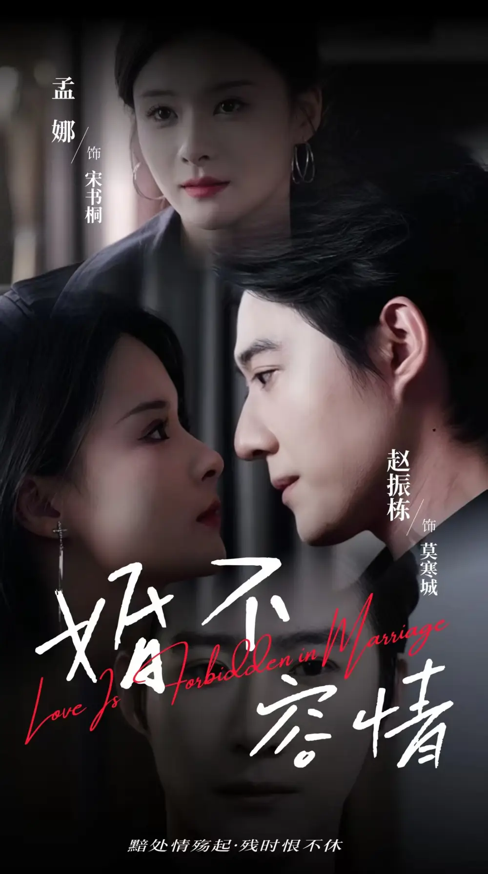 婚不容情（89集）趙振棟＆孟娜劇情人物介紹