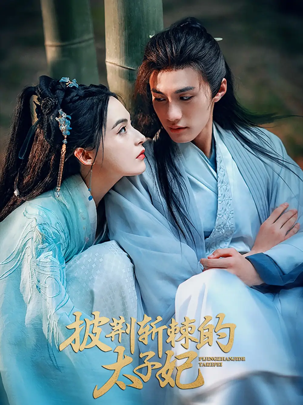 披荊斬棘的太子妃（80集）楊鵬丞＆沈芝弈劇情人物介紹