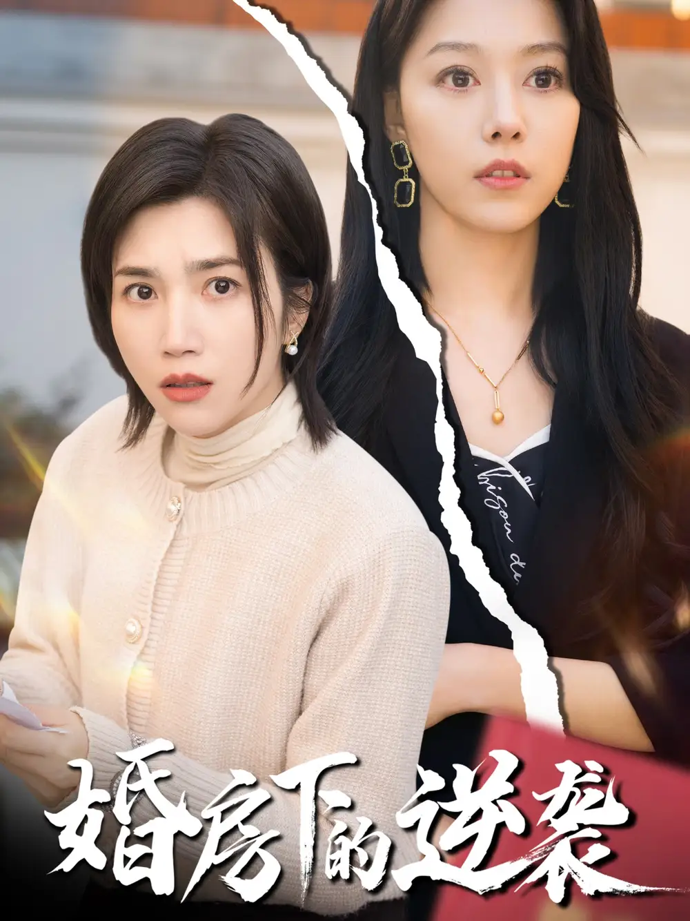 婚房下的逆襲（38集）楊舒米＆李金金劇情人物介紹