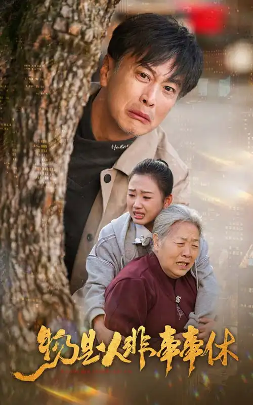 物是人非事事休（41集）劇情人物介紹