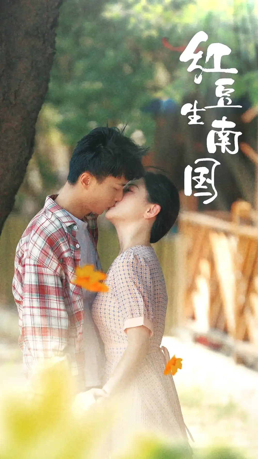 紅豆生南國(guó)（53集）常丹丹劇情人物介紹