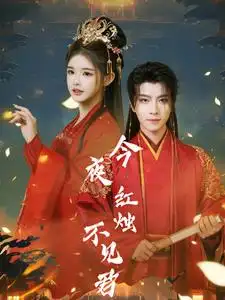 今夜紅燭不見君（74集）一航劇情人物介紹