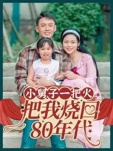 小舅子一把火把我燒回80年代（100集）劇情人物介紹