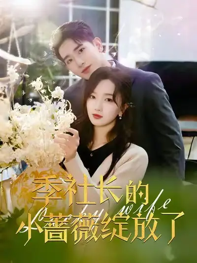 季社長(zhǎng)的小薔薇綻放了（60集）王浩翔＆郭知爻劇情人物介紹
