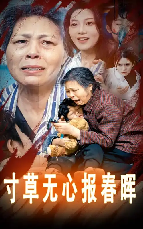 寸草無(wú)心報(bào)春暉&孝子慈孫（31集）劇情人物介紹