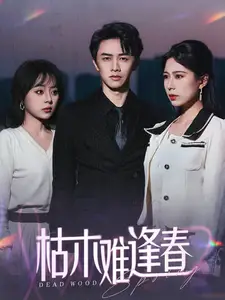 枯木難逢春（30集）陳外＆孔夢琦劇情人物介紹