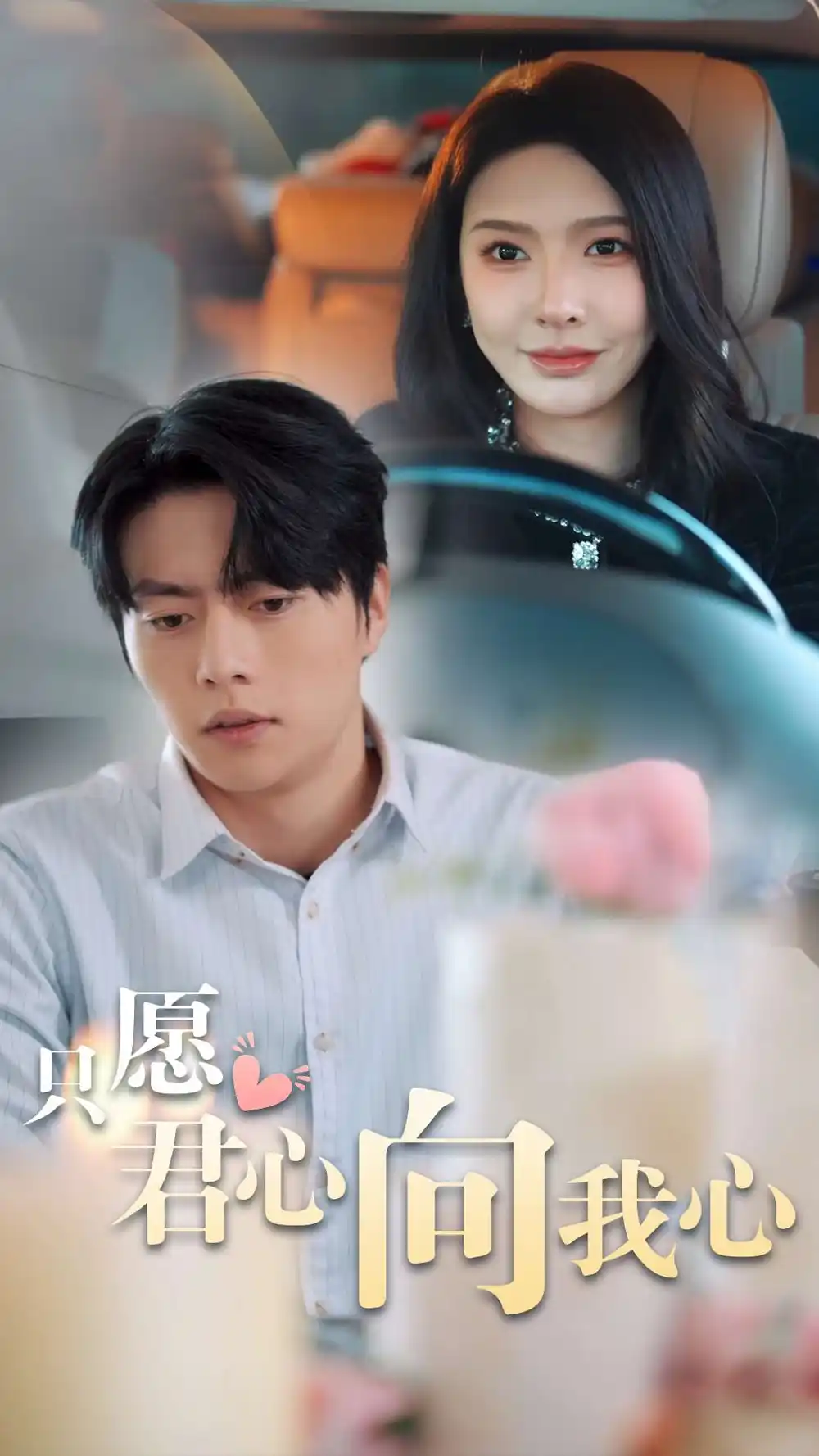 只愿君心向我心（31集）張磊劇情人物介紹