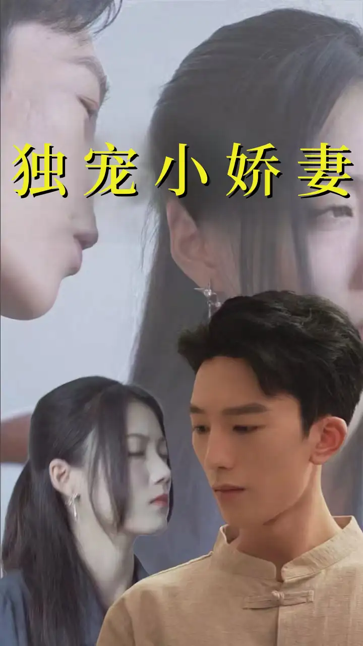 獨寵小嬌妻（101集）劇情人物介紹