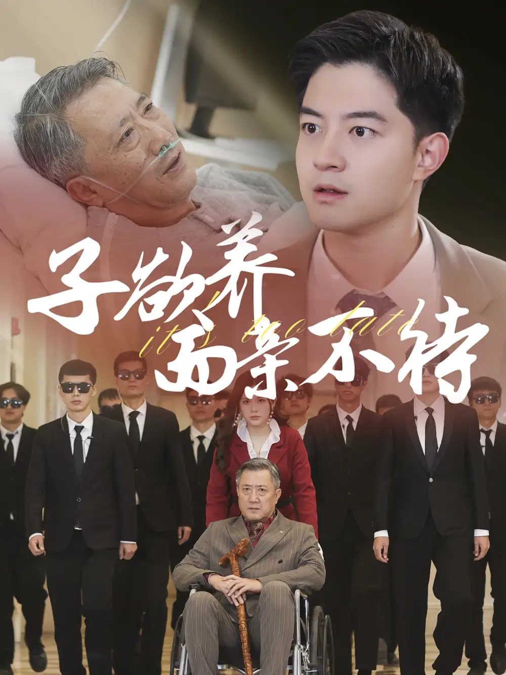 子欲養(yǎng)而親不待（70集）劇情人物介紹