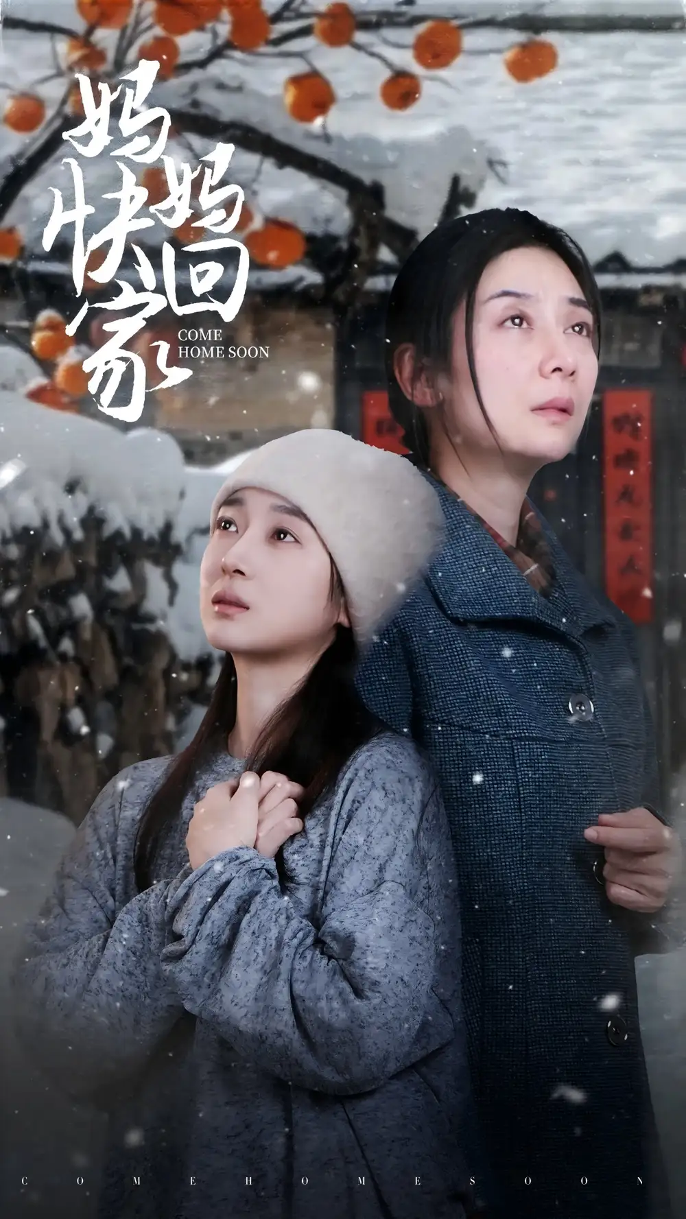 媽媽快回家（31集）劇情人物介紹