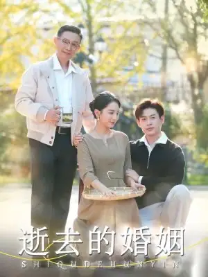 逝去的婚姻（60集）孔瑩瑩劇情人物介紹