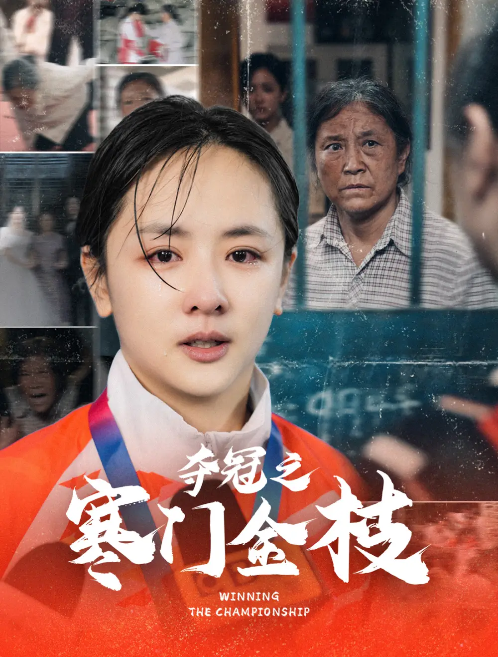 奪冠之寒門金枝（47集）田雨晴＆趙菲一劇情人物介紹