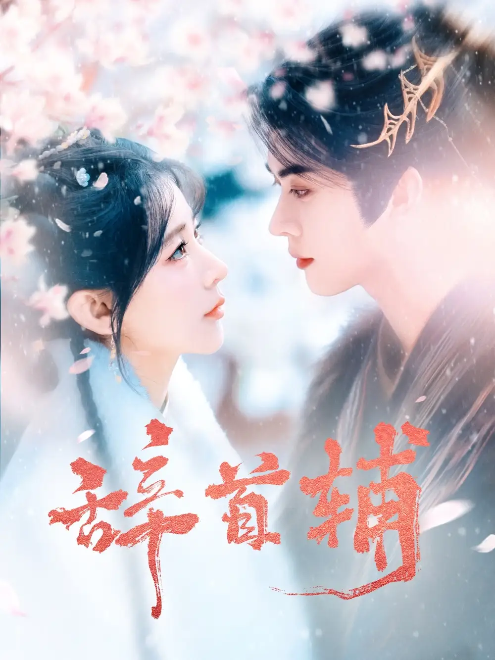 辭首輔（80集）李楓＆楊弋墨劇情人物介紹
