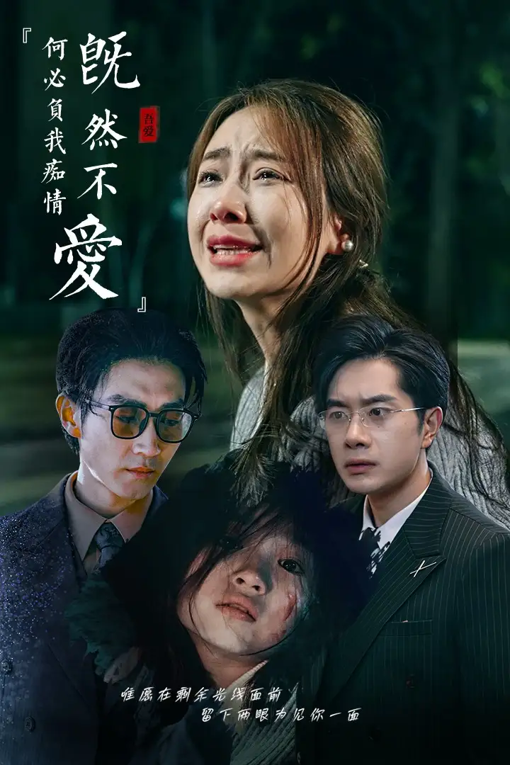 既然不愛何必負(fù)我癡情（53集）劇情人物介紹