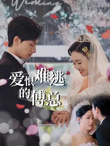 愛恨難逃的傅總（82集）劇情人物介紹