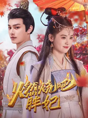 燃燒吧胖妃（66集）柳甯&翟一瑩劇情人物介紹