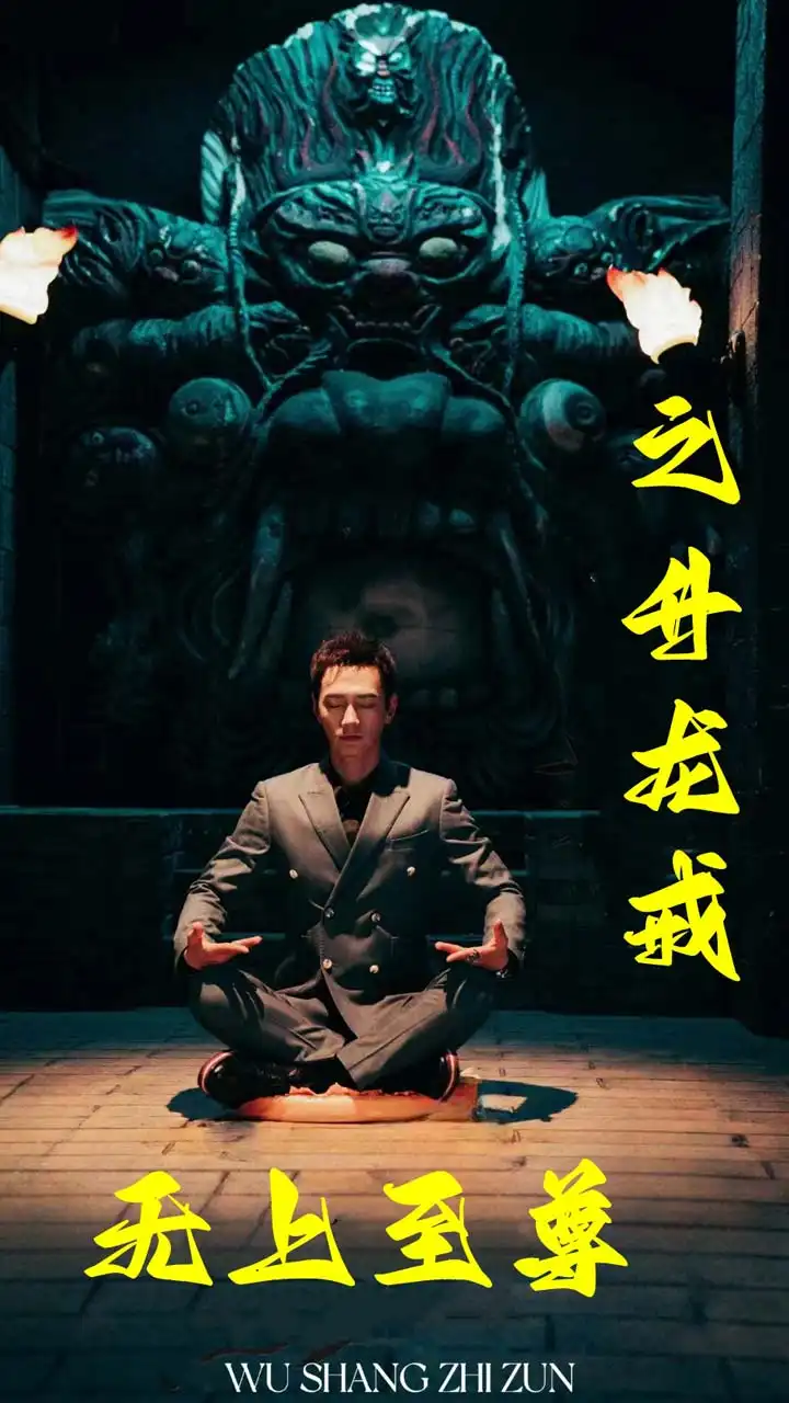 無上至尊之升龍戒(88集) 無上至尊之升龍戒(88集)