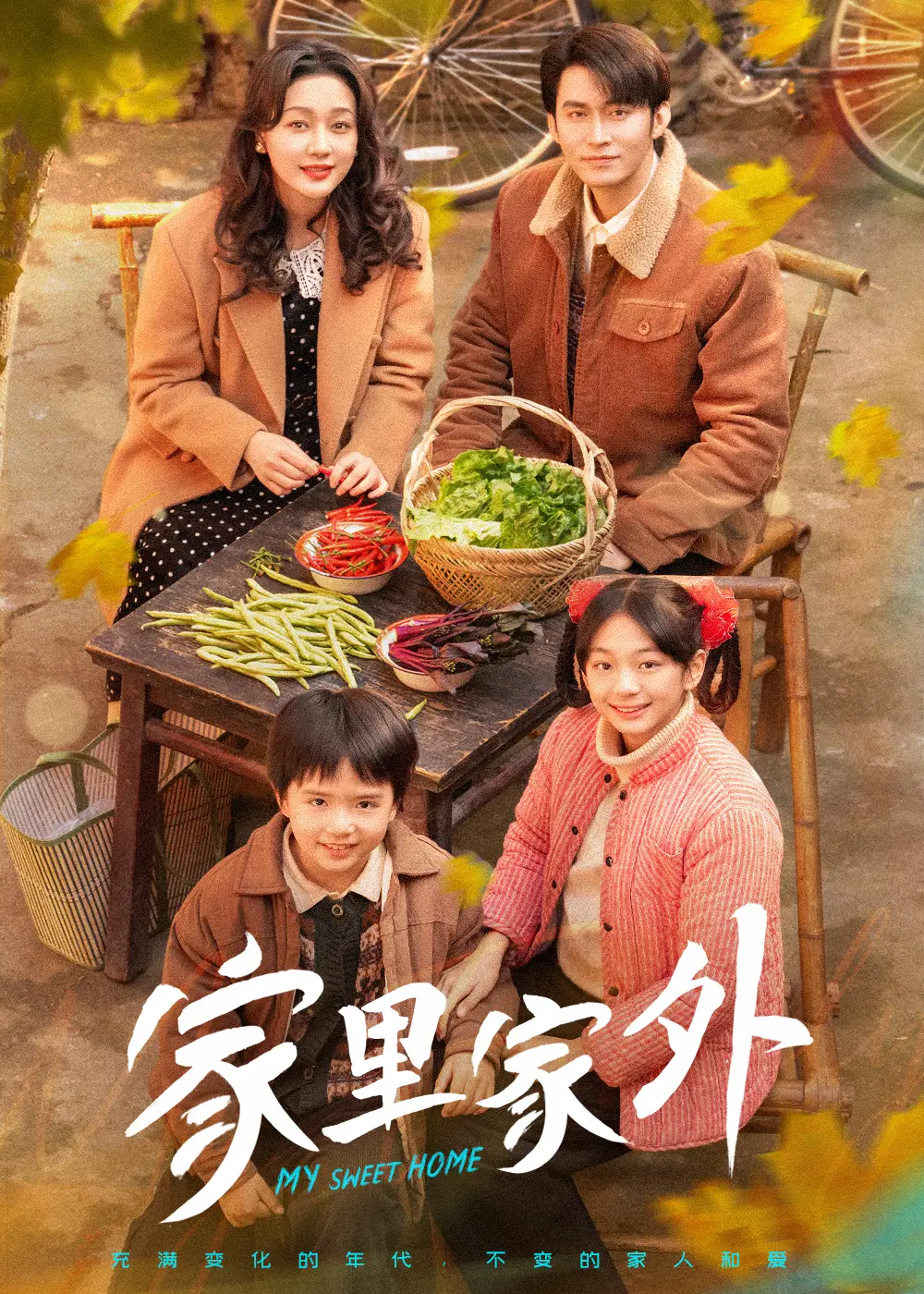 家里家外（79集）王道鐵&孫藝燃劇情人物介紹