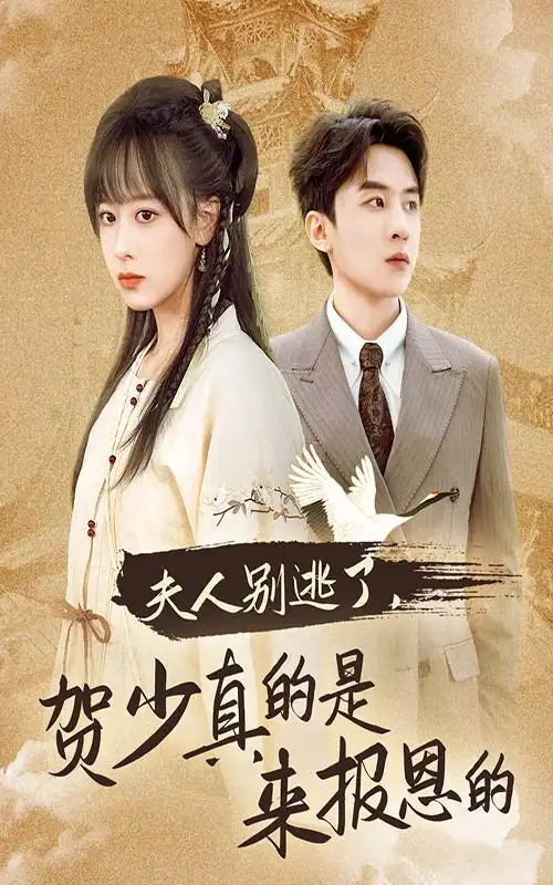 夫人別逃了賀少真的是來(lái)報(bào)恩的（63集）劇情人物介紹