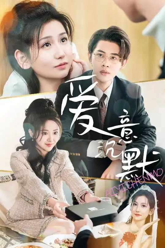 愛(ài)意沉默（29集）劇情人物介紹