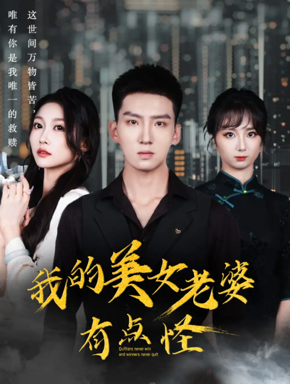我的美女老婆有點(diǎn)怪（65集）霍文琦劇情人物介紹