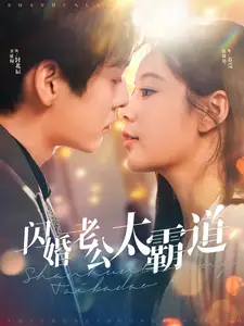 閃婚老公太霸道（100集）劇情人物介紹