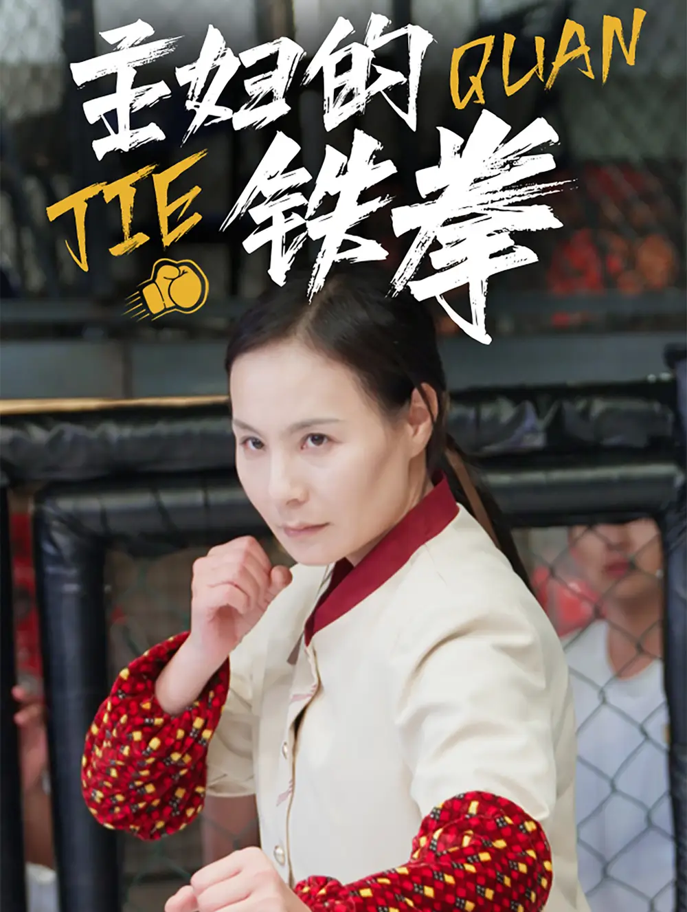 主婦的鐵拳（41集）劇情人物介紹