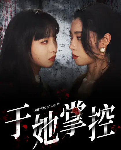 于她掌控（87集）劇情人物介紹