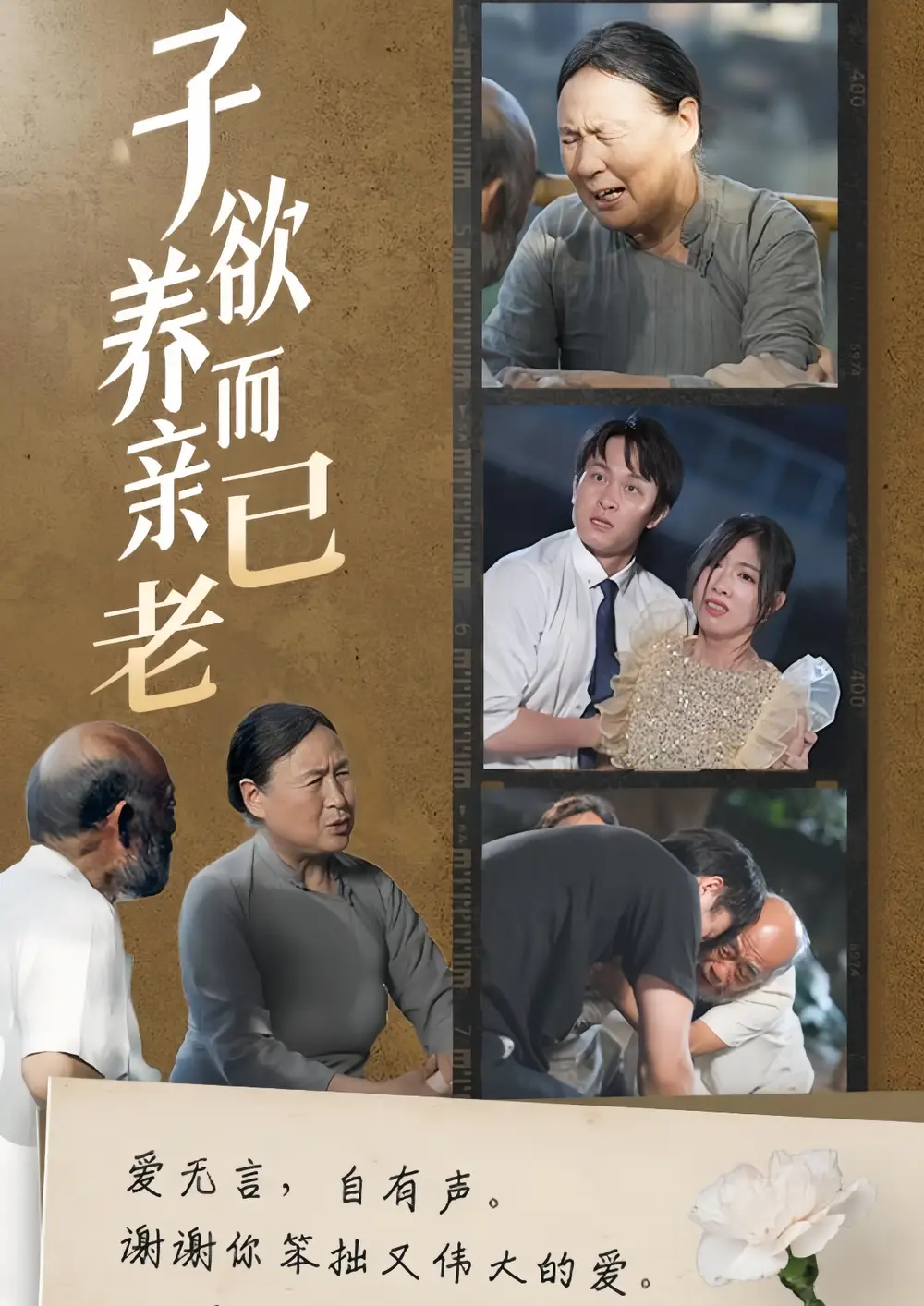 子欲養(yǎng)而親已老（58集）劇情概要