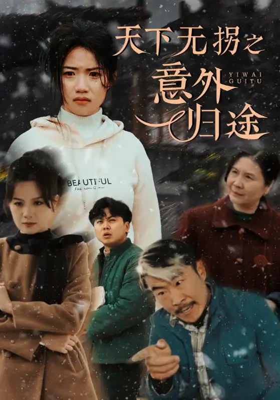 天下無(wú)拐之意外歸途（61集）高潔慧劇情人物介紹