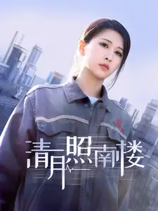 清月照南樓（35集）