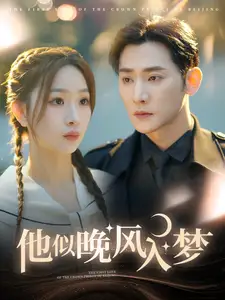 他似晚風(fēng)入夢（100集）于叔＆彭千玲劇情概要