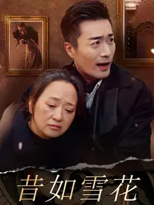 昔如雪花（30集）劇情概要