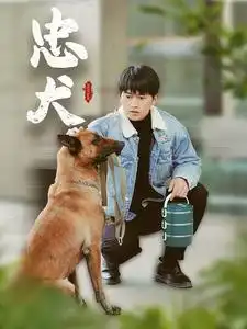 忠犬（34集）劇情概要
