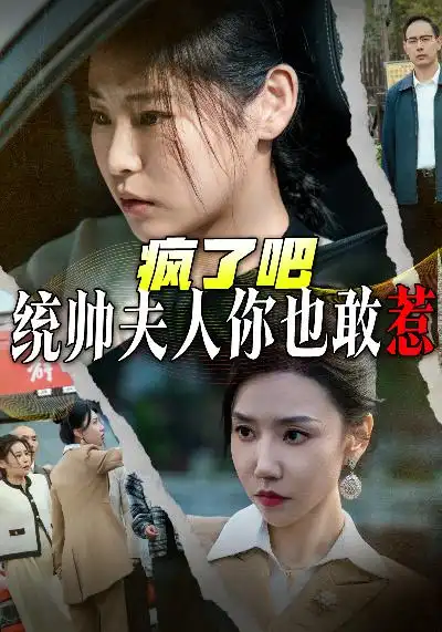 瘋了吧統(tǒng)帥夫人你也敢惹（33集）劇情概要