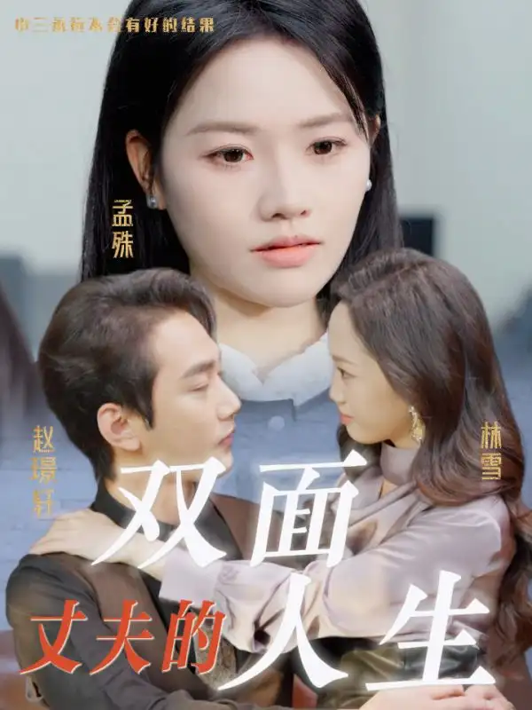 丈夫的雙面人生（30集）劇情概要