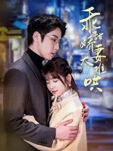 乖甜嬌妻太難哄（100集）曲笑孝劇情概要
