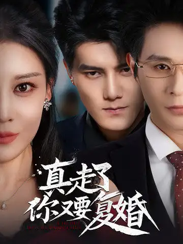 真走了你又要復(fù)婚（60集）雷藝昊＆劉欣然劇情概要