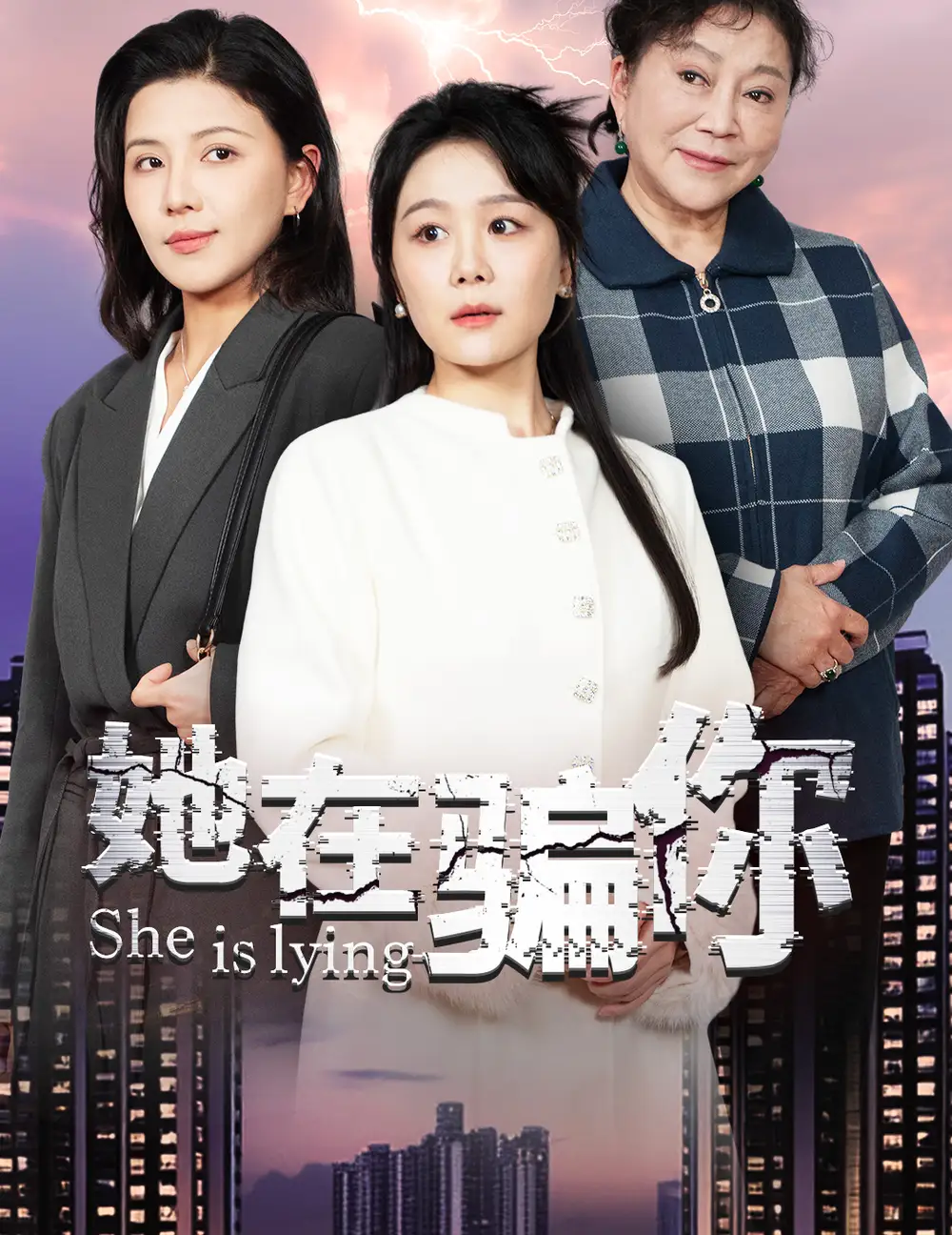 她在騙你（40集）劇情人物介紹