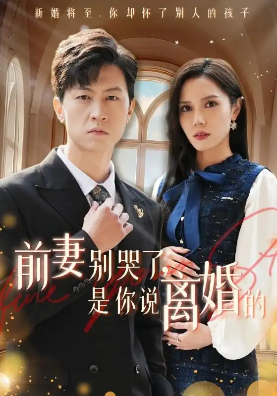前妻別哭了是你說離婚的（42集）劇情概要