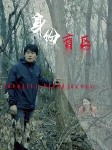 身份盲區(qū)（12集）劇情概要