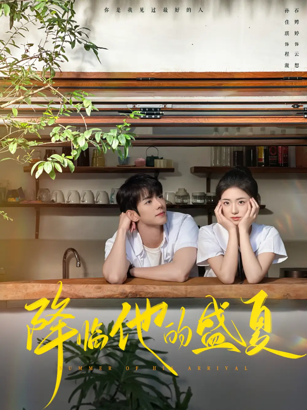 降臨他的盛夏（90集）藍(lán)博＆時(shí)童劇情概要